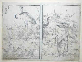 Hokusai Manga - Cranes Of Sakurada,  Owari - Japanese Woodblock Print