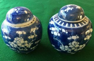 Chinese Vase Ginger Jar Blue & White Prunus Antique Porcelain 19th Century Qing