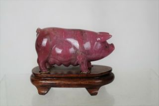 Fine Chinese Rhodonite Carving Of A Pig On Wooden Stand