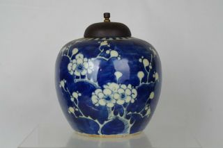 Antique Chinese Hand - Painted Blue/white Prunus Lidded Ginger Jar - With Mark