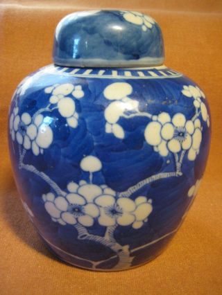Antique/vintage Chinese Blue And White Prunus Double Ring Ginger Jar With Lid