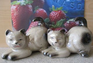 Vintage 2 Porcelain Siamese Cats Kitten Statues Made Brazil Figure Luster 6.  5 "