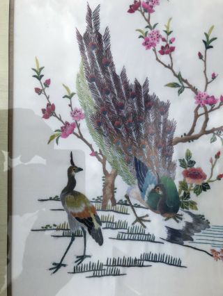 Antique Vintage Japanese Asian Silk Embroidered Peacock Birds Art Wood Framed 2