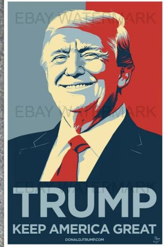 Rare Donald Trump Keep America Great 2020 Official Campaign Poster 11x17 Poppy