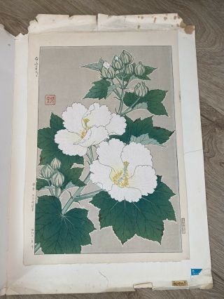Vintage/antique Signed Asian Japanese Woodblock Print Flowers Floral Art