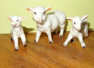 3 Pc Set Vintage Miniature Bone China Mother & Baby Sheep Figurines Broke Leg