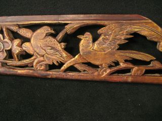 Antique Chinese Qing Dynasty Hand Carved Wooden Carving Birds In The Garden