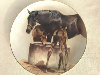 The Water Trough By Fred Stone Horse Collector Plate American Artists 9 " Euc