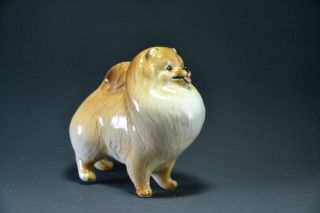 Statuette Made Of Porcelain Dog Pomeranian Spitz
