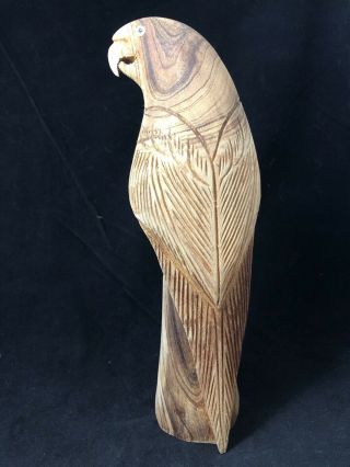 Vintage Folk Art 9” Wood Hand Carved Parrot Bird One Piece Of Wood