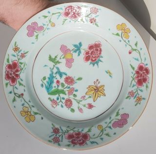 Antique 19th C.  Chinese Porcelain Famille Rose Plate Flowers China 8.  25 " E
