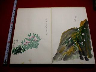 3 - 45 Japanese Alpine Plants Flower Hand Drown Pictures Book