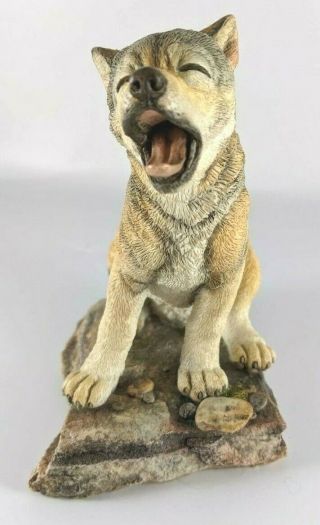 Wolf Cub Yawning By Ca Country Artists Natural World 02998