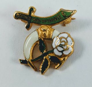 Vintage Daughters Of The Nile Enamel Lapel Pin Brooch Shriners Affiliated