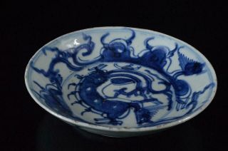 X9256: Chinese Blue&white Dragon Flower Muffle Painting Ornamental Plate/dish
