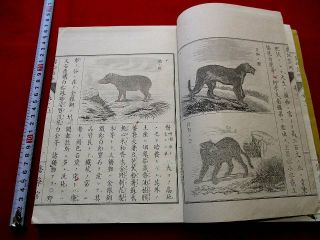 2 - 25 Yochi11jyo U.  S.  A India Map Japanese Woodblock Book