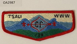 Boy Scout Oa 134 Tsali Lodge Flap S9