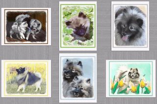 6 Assorted Keeshond Dog Blank Art Note Greeting Cards