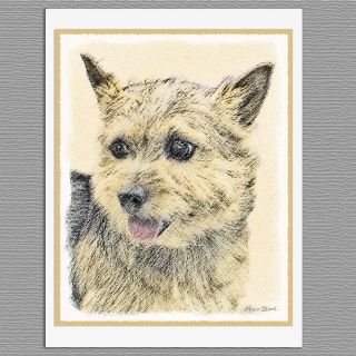 6 Norwich Terrier Dog Blank Art Note Greeting Cards