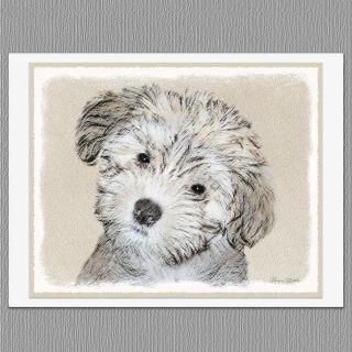 6 Havanese Puppy Dog Blank Art Note Greeting Cards