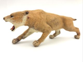 2010 Papo Mountain Lion Playing Figure Toy Collectible Wildlife Animal Growling