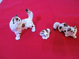 Set Of 3 Vintage Mini Bone China Persian Cat Figurines Brown & White