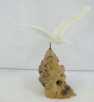 John Perry Flying Pelican Sculpture On Burl Driftwood Base
