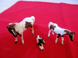 Set of 3 Vintage Mini Bone China Horse Figurines Brown & White 2