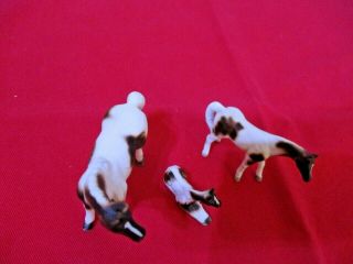 Set of 3 Vintage Mini Bone China Horse Figurines Brown & White 3