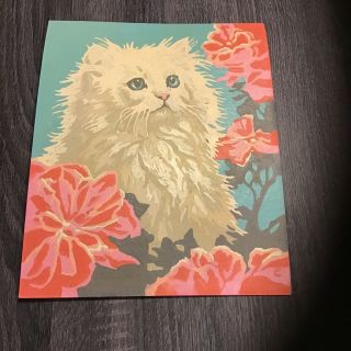 Adorable Vintage White Kitten Cat Paint By Number 8 " X 10 " Pink Flowers