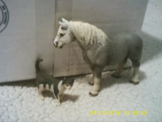 Schleich Horse Gray Percheron Stallion Figure 2006,  Tabby Cat Set Of 2