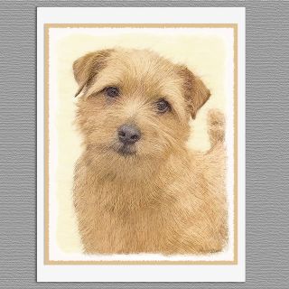 6 Norfolk Terrier Dog Blank Art Note Greeting Cards