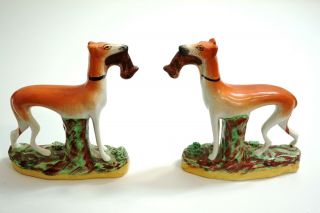 Pair Antique Greyhounds With Hares In Mouth Staffordshire England 6 " Tall