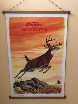 Vintage 1955 Western Winchester Lithograph Advertising Deer Poster