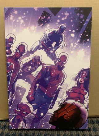 2015 Marvel Spider - Verse Graphic Novel (d12)