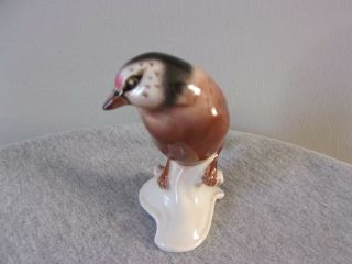 Vintage GOEBEL Porcelain BIRD Figurine,  CV 33,  Germany,  GOLDFINCH 3
