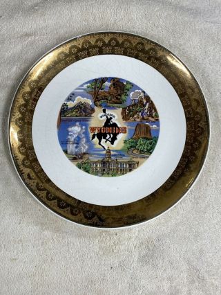 Wyoming 10 3/8” Vintage Collectable Souvenir State Collector Plate