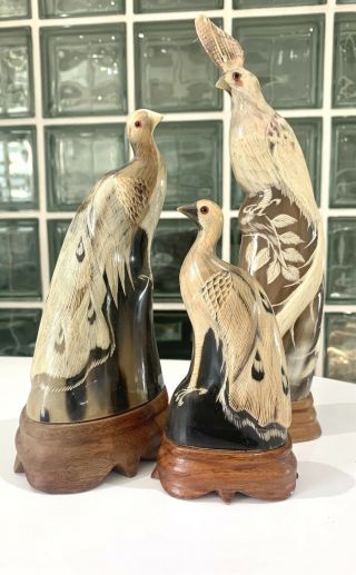 Asian Chinese Buffalo Horn Oriental Hand Carved Birds Of Paradise