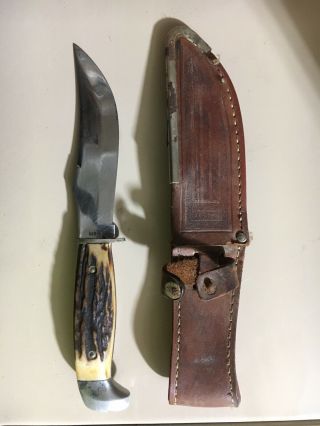 Vintage Case - Xx 523 - 5 Blade Stag Handle Hunting Skinning Knife W/sheath,  7.  75 "