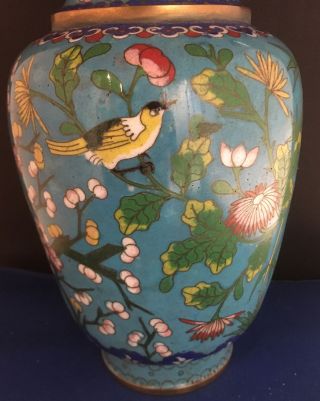 Antique Chinese Cloisonné Blue Vase With Cherry Blossom Floral,  Bird Motif 9”T 2