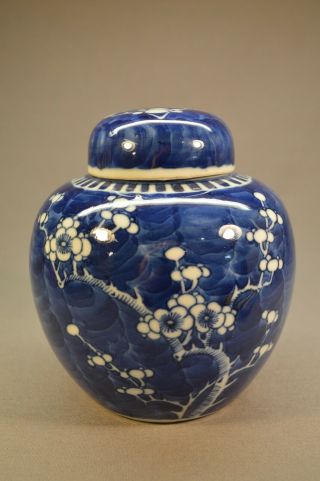 Antique Chinese Porcelain Ginger Jar W/ Lid,  Blue & White Plum Blossom 5 1/2