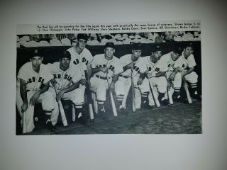 Red Sox 1948 Team Picture Dugout Ted Williams Dom Dimaggio Johnny Pesky