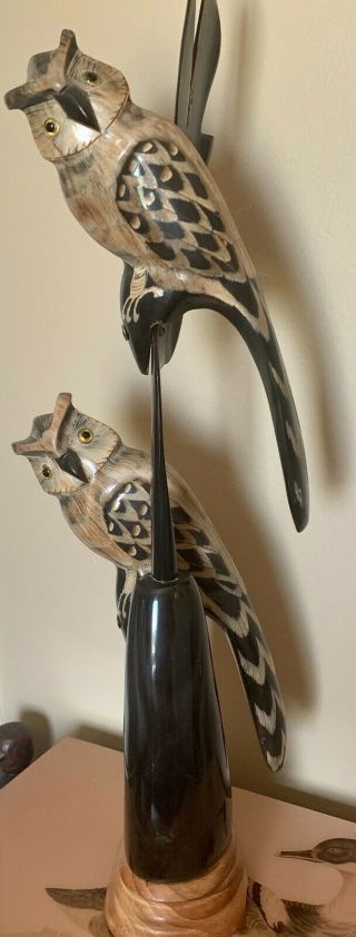 Vintage Carved Buffalo Horn Two Owls On Branch Sculpture Wood Base