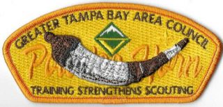 Bsa Oa Greater Tampa Bay Area Council 2020 Powder Horn Sa - 51 3d Horn Csp 340 85