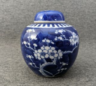 Antique Chinese Prunus Ginger Jar With Lid Blue & White Double Ring Porcelain