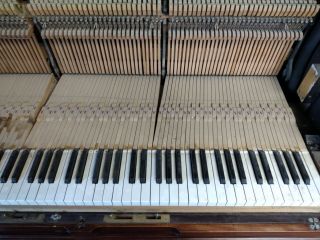 Set Of 88 Vintage Piano Keys Beckwith Upright Piano Antique Salvage