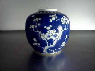 Vintage Chinese Guangxu Ceramic Jar Plum Flowers Double Ring Mark Blue N White