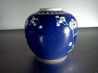 Vintage Chinese Guangxu ceramic jar plum flowers double ring mark blue n white 2