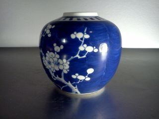 Vintage Chinese Guangxu ceramic jar plum flowers double ring mark blue n white 3