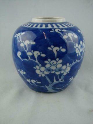 Antique Chinese Blue And White Prunus Blossom Ginger Jar / Vase 12.  6cm Tall